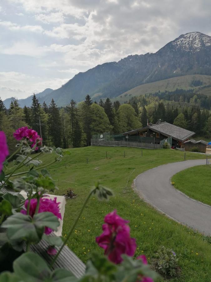 Aparthotel Haus Obweg - Postalm Hallein Exterior foto