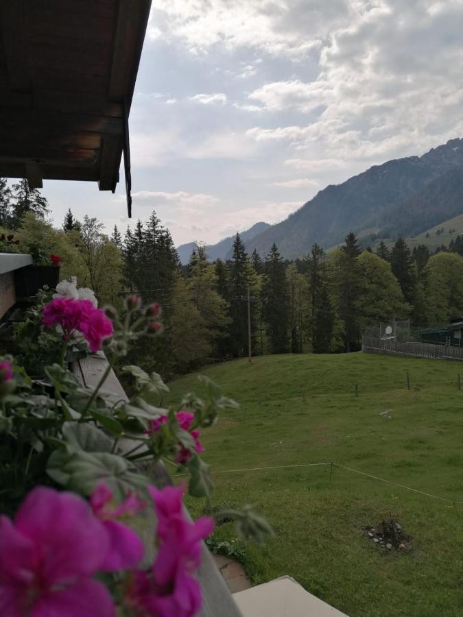 Aparthotel Haus Obweg - Postalm Hallein Exterior foto